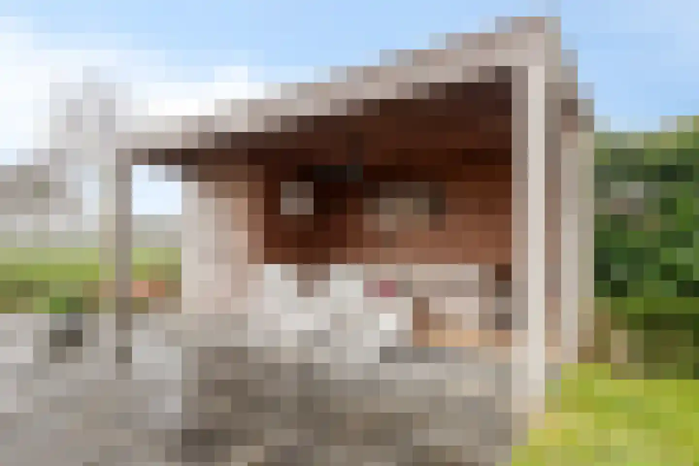 Voorsteven 18 Bunschoten-Spakenburg thumbnail 41