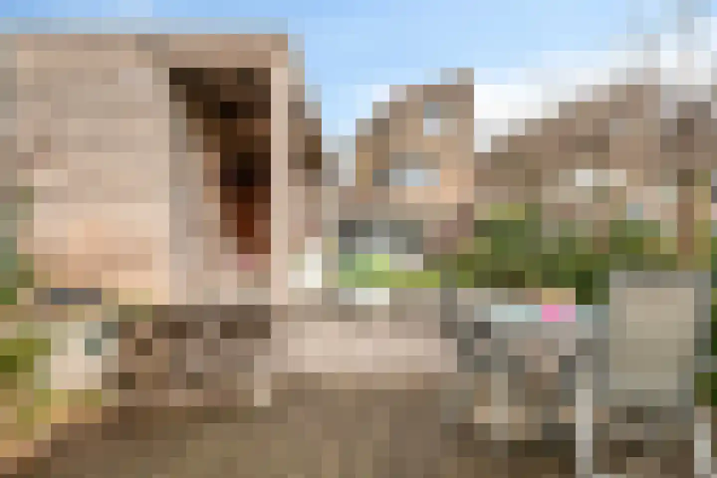Voorsteven 18 Bunschoten-Spakenburg thumbnail 43