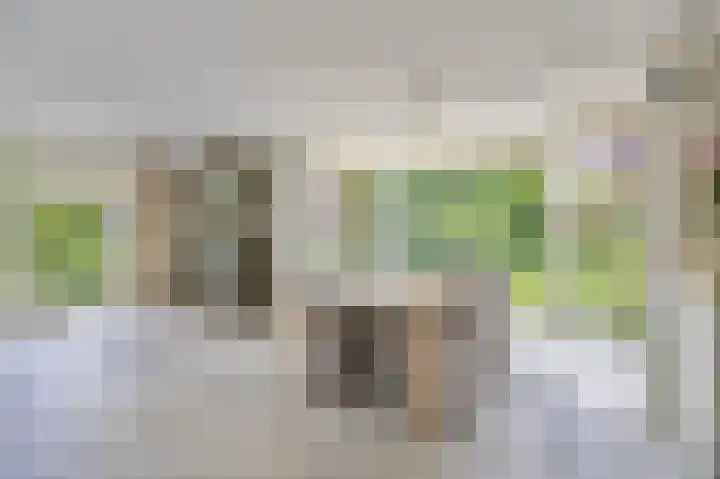 Voorsteven 2 Etten-Leur thumbnail 10