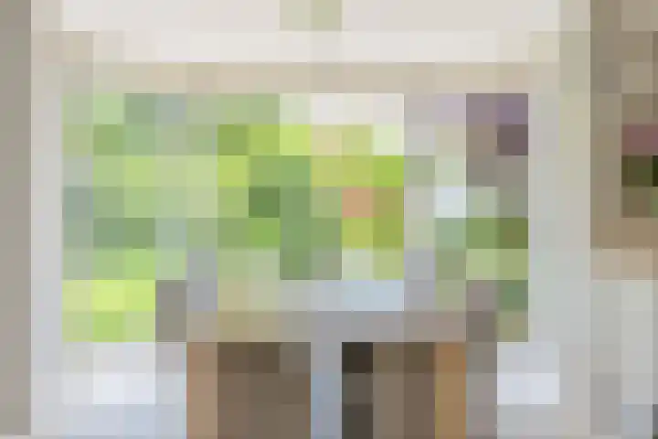 Voorsteven 2 Etten-Leur thumbnail 11
