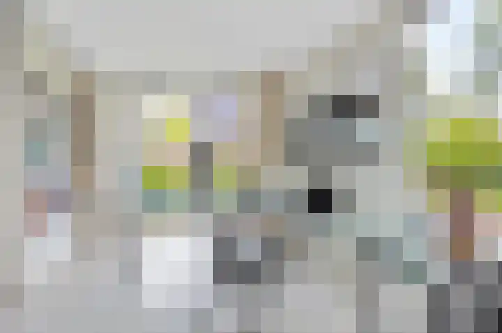 Voorsteven 2 Etten-Leur thumbnail 13