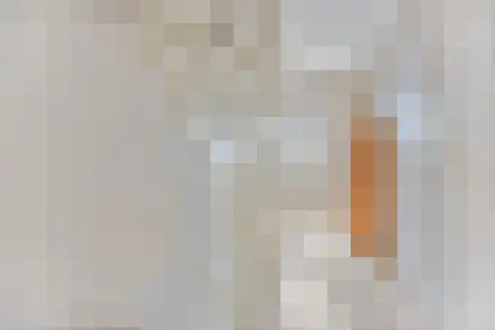 Voorsteven 2 Etten-Leur thumbnail 14