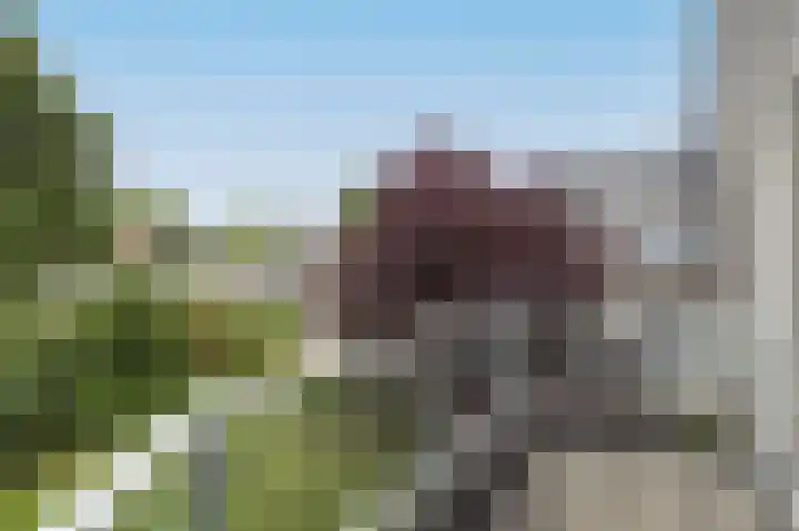 Voorsteven 2 Etten-Leur thumbnail 16