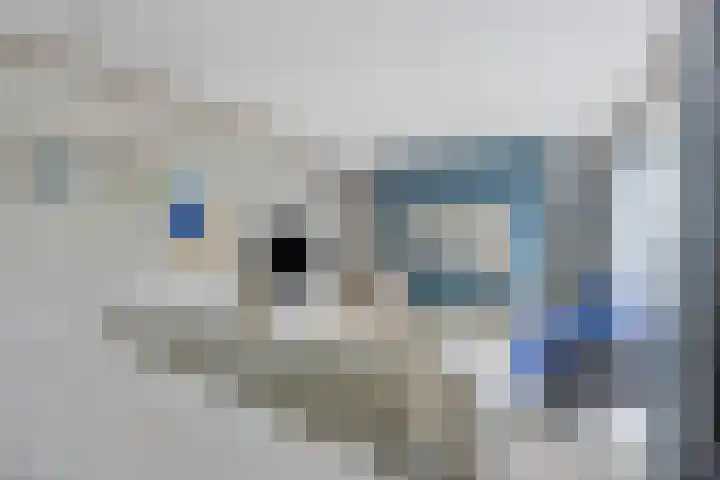 Voorsteven 2 Etten-Leur thumbnail 17