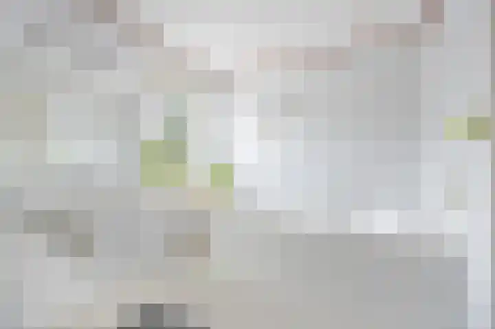 Voorsteven 2 Etten-Leur thumbnail 21