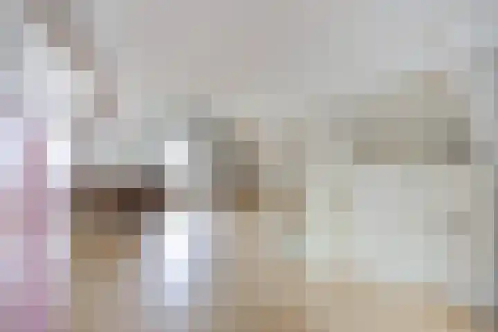 Voorsteven 2 Etten-Leur thumbnail 24