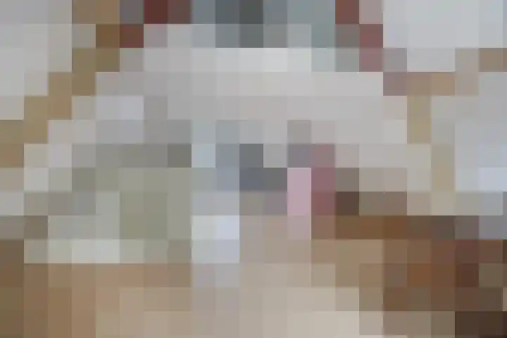Voorsteven 2 Etten-Leur thumbnail 25