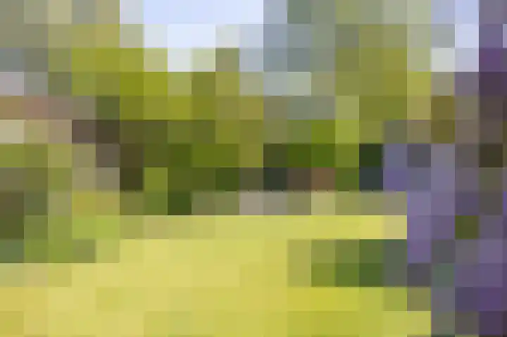 Voorsteven 2 Etten-Leur thumbnail 26