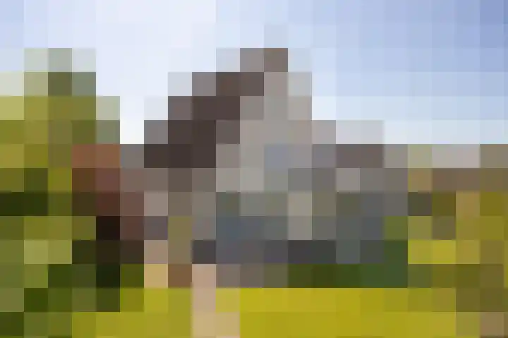 Voorsteven 2 Etten-Leur thumbnail 27