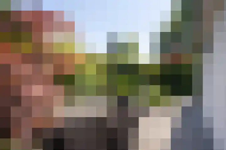Voorsteven 2 Etten-Leur thumbnail 28