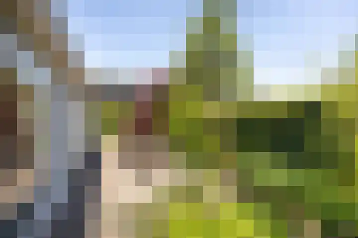 Voorsteven 2 Etten-Leur thumbnail 29