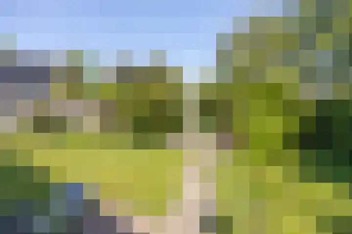Voorsteven 2 Etten-Leur thumbnail 30