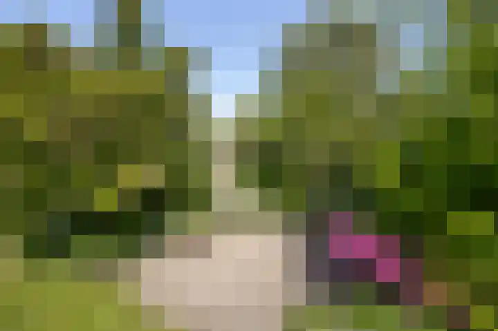 Voorsteven 2 Etten-Leur thumbnail 31