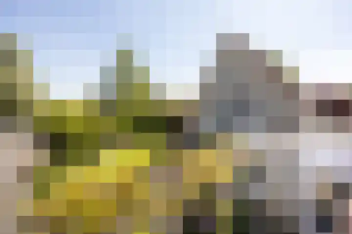 Voorsteven 2 Etten-Leur thumbnail 33