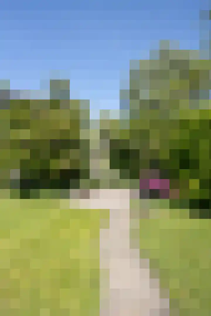 Voorsteven 2 Etten-Leur thumbnail 34