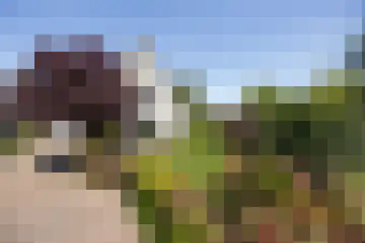 Voorsteven 2 Etten-Leur thumbnail 35