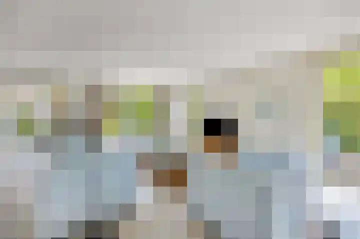 Voorsteven 2 Etten-Leur thumbnail 4