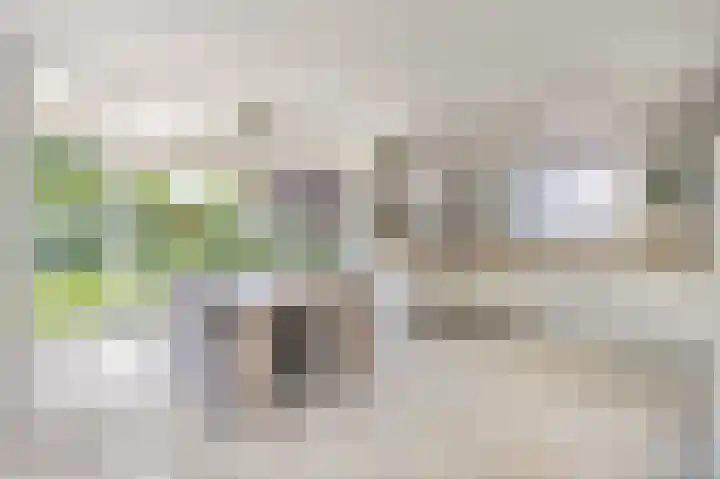Voorsteven 2 Etten-Leur thumbnail 8