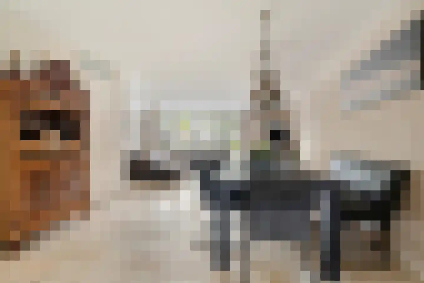 Voorsteven 20 Bunschoten-Spakenburg thumbnail 10