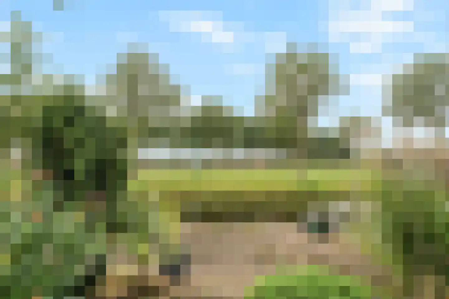 Voorsteven 20 Bunschoten-Spakenburg thumbnail 39