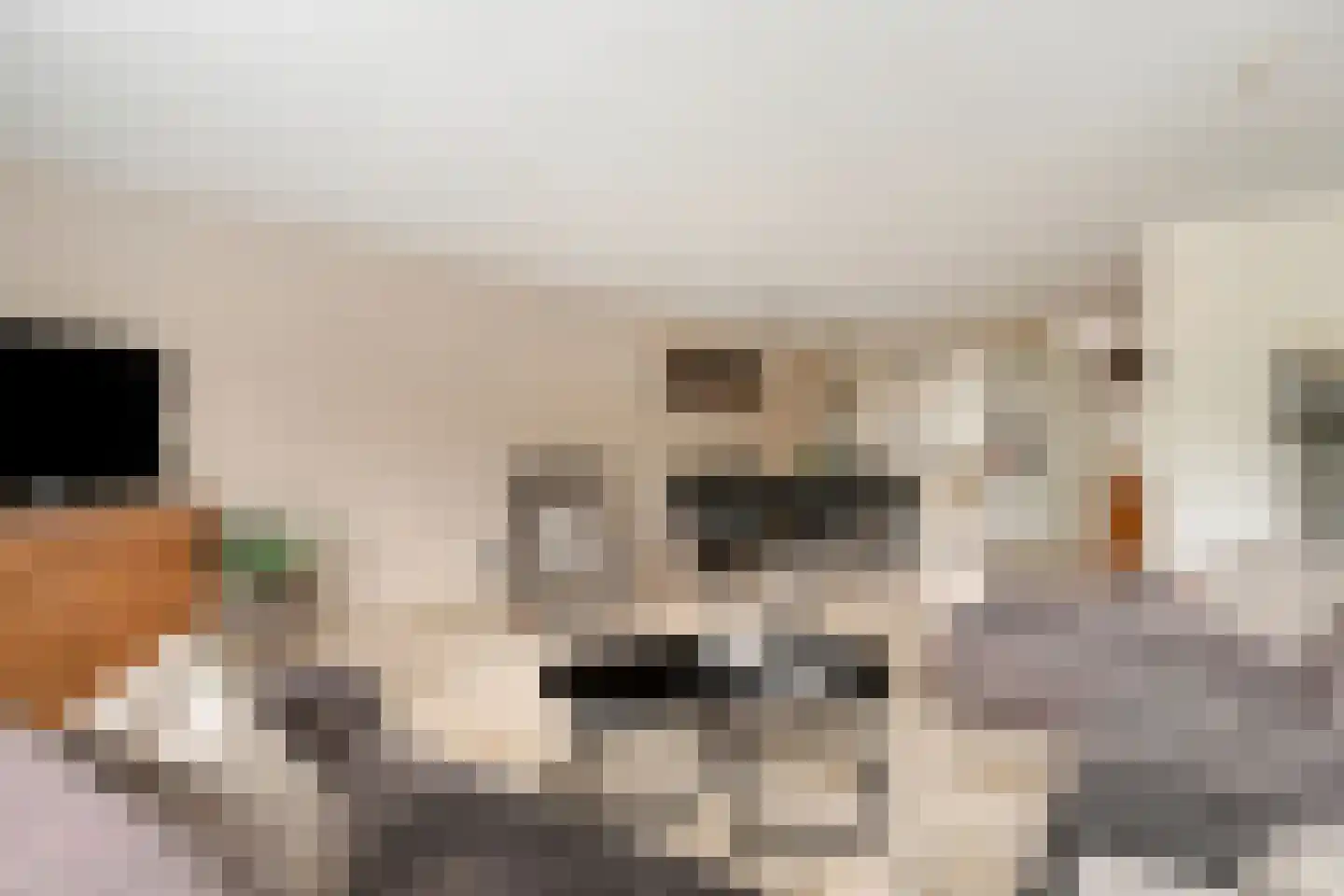 Voorsteven 20 Bunschoten-Spakenburg thumbnail 4