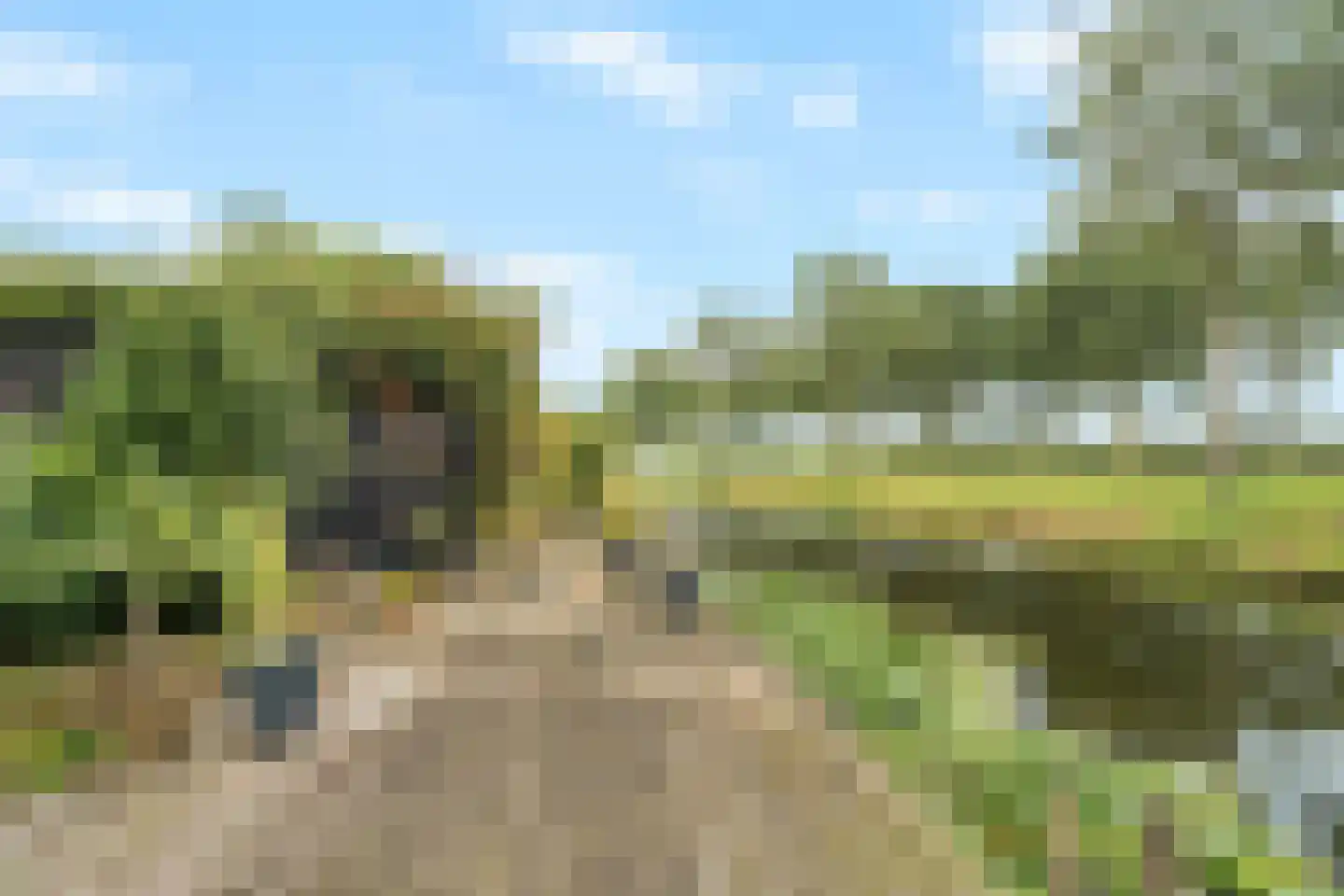 Voorsteven 20 Bunschoten-Spakenburg thumbnail 41
