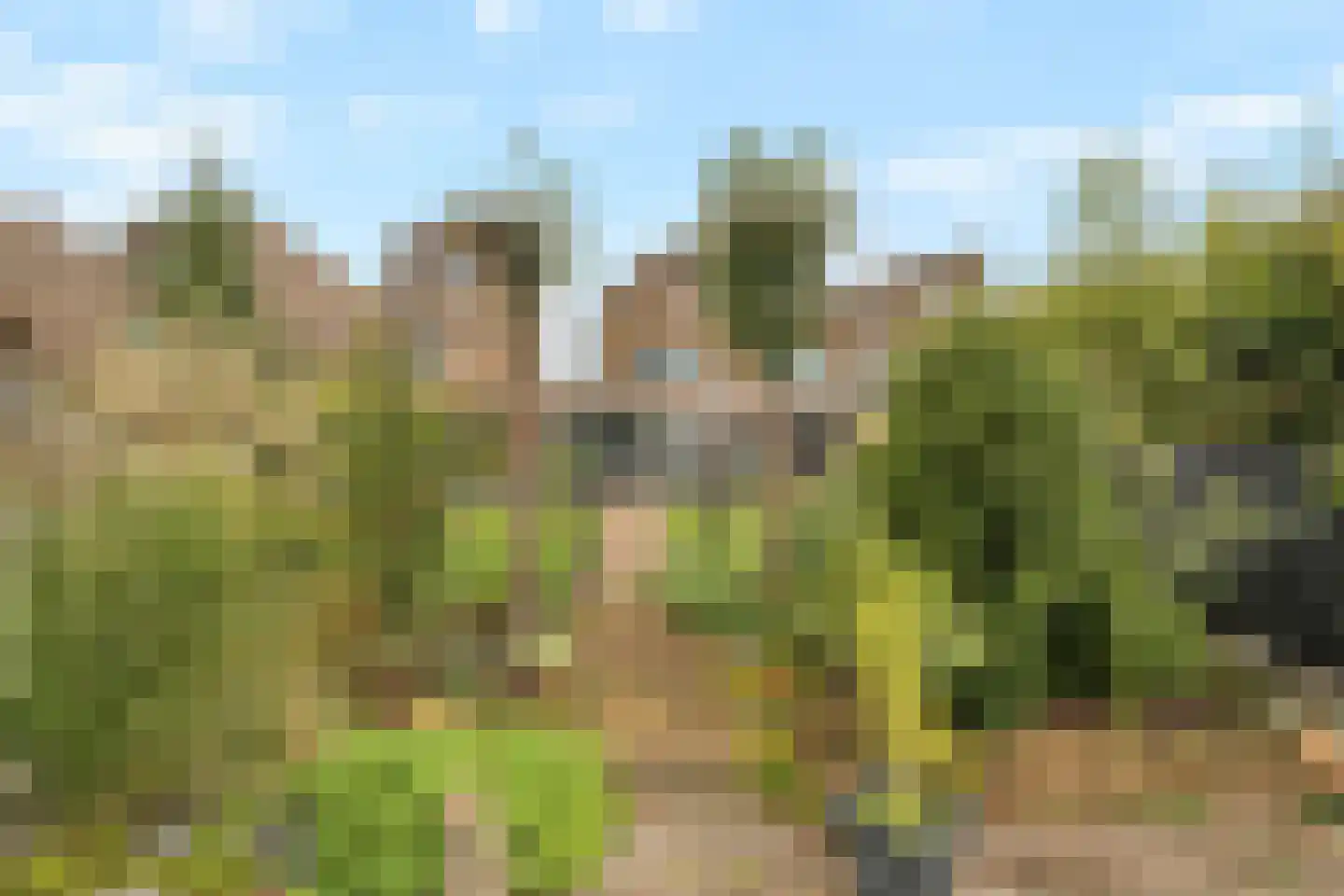 Voorsteven 20 Bunschoten-Spakenburg thumbnail 42