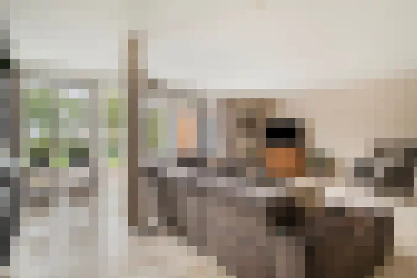 Voorsteven 20 Bunschoten-Spakenburg thumbnail 8