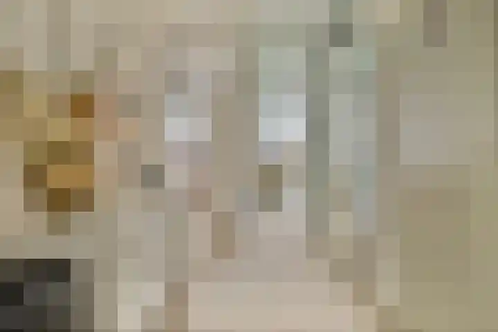 Voorsteven 33 Amsterdam thumbnail 12