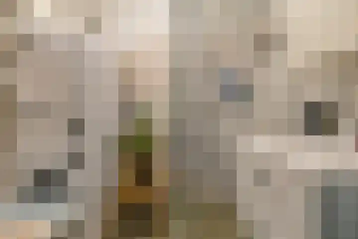 Voorsteven 33 Amsterdam thumbnail 20