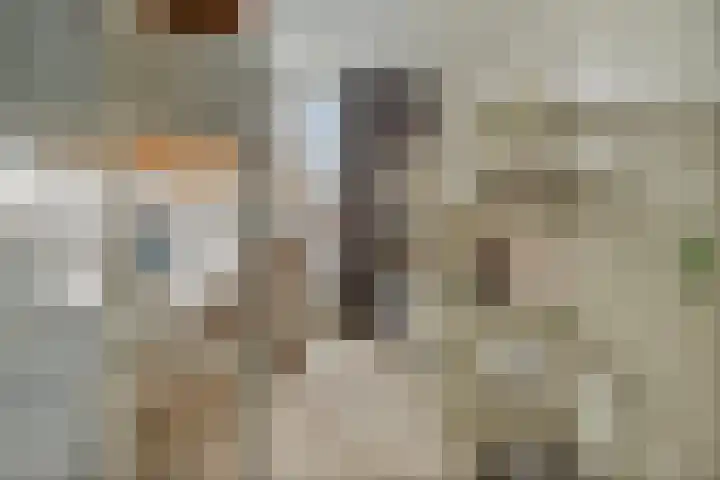 Voorsteven 33 Amsterdam thumbnail 23