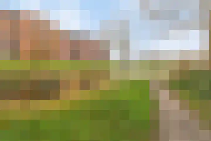 Voorsteven 33 Amsterdam thumbnail 27