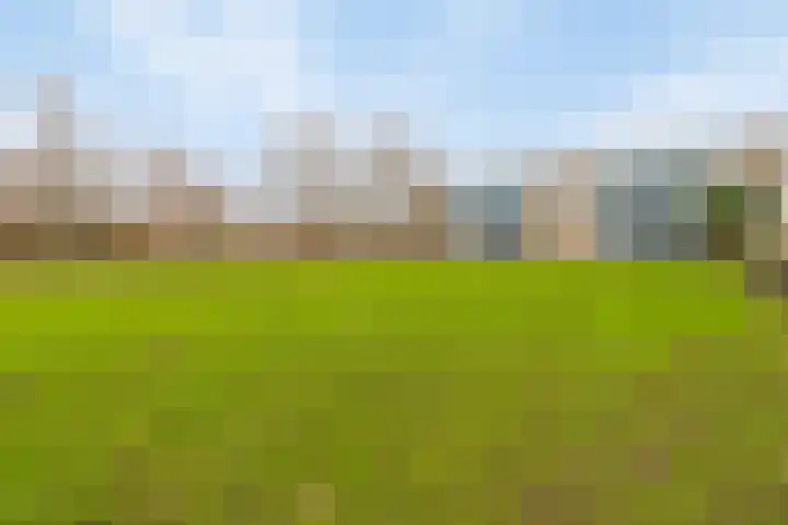 Voorsteven 33 Amsterdam thumbnail 28