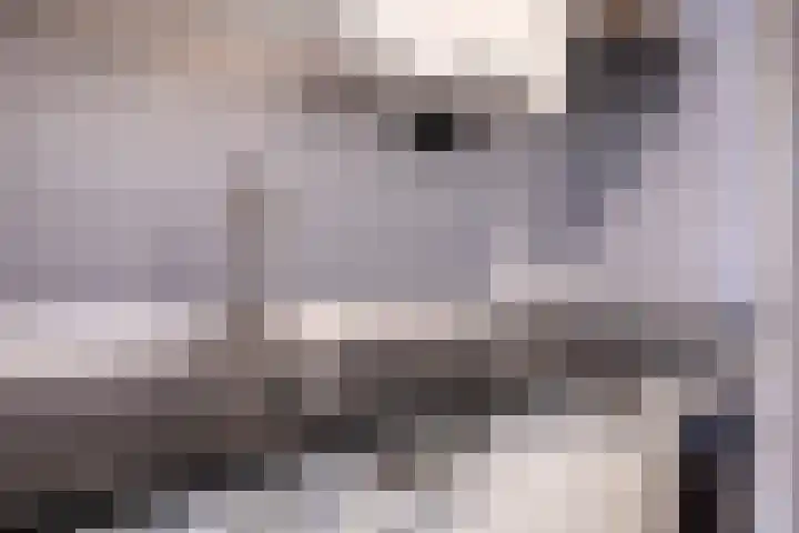 Voorsteven 68 Amsterdam thumbnail 12