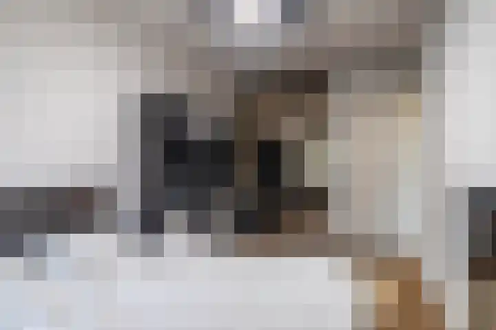 Voorsteven 68 Amsterdam thumbnail 14