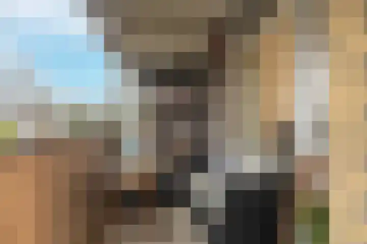Voorsteven 68 Amsterdam thumbnail 17