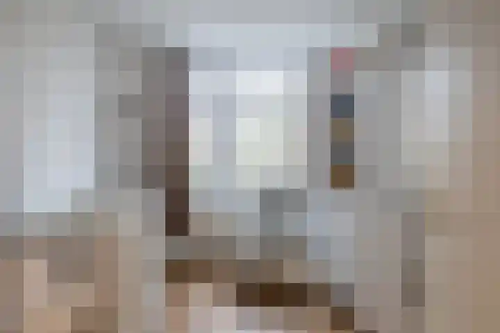 Voorsteven 68 Amsterdam thumbnail 19