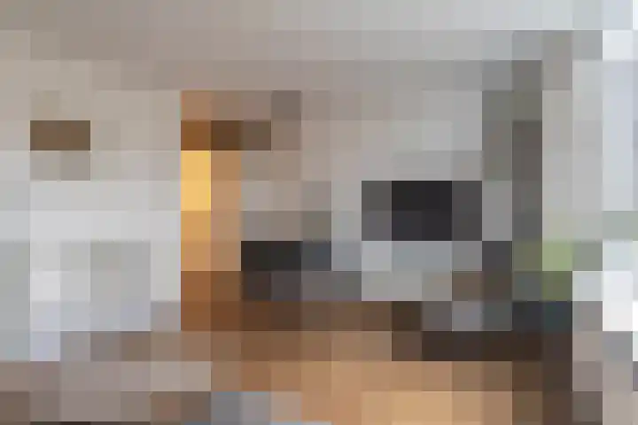 Voorsteven 68 Amsterdam thumbnail 7