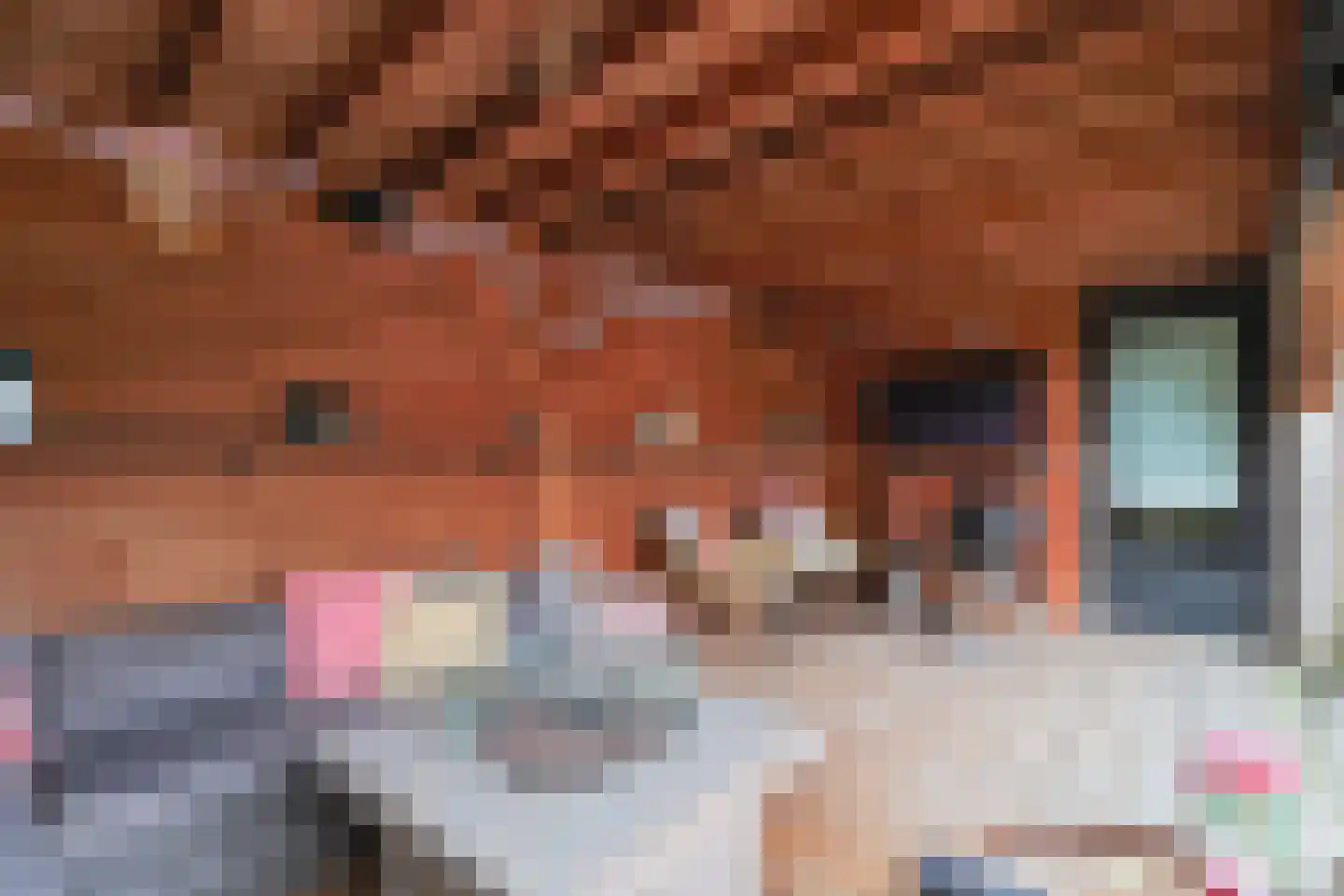 Voorsteven 7 Bunschoten-Spakenburg thumbnail 35