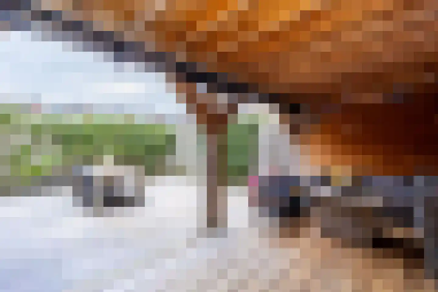 Voorsteven 7 Bunschoten-Spakenburg thumbnail 37