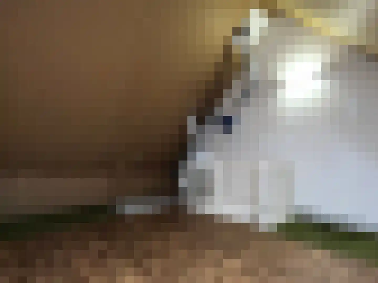 Voorsteven 7 Wijk bij Duurstede thumbnail 20
