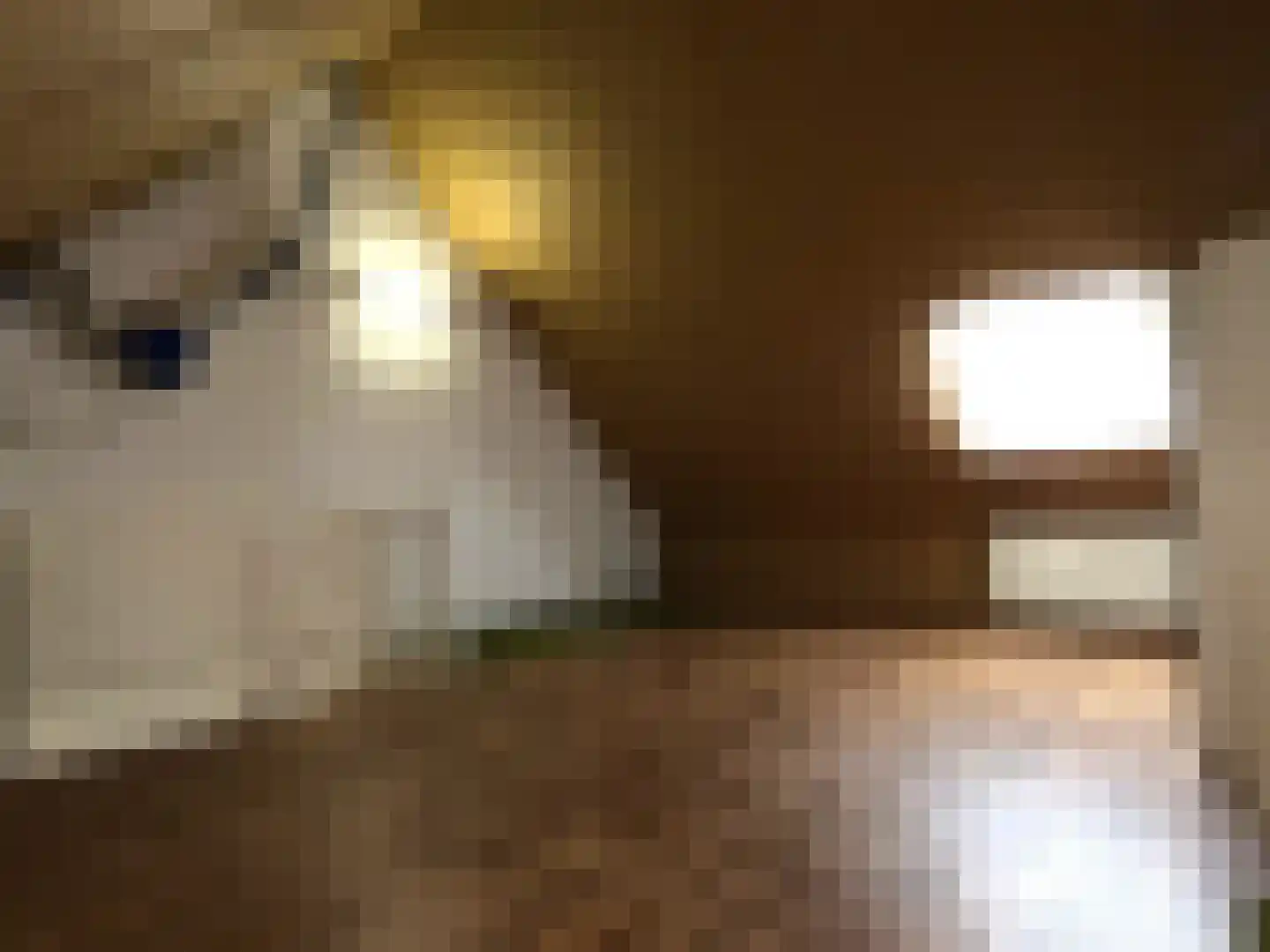 Voorsteven 7 Wijk bij Duurstede thumbnail 21