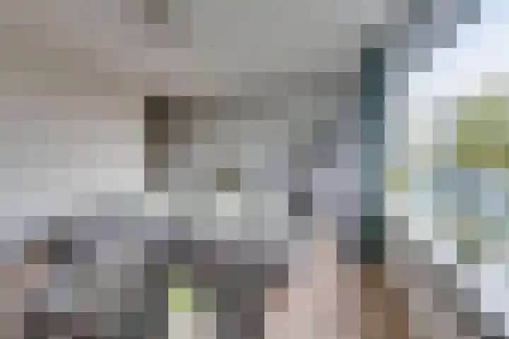 Voorsteven 81 Amsterdam thumbnail 10