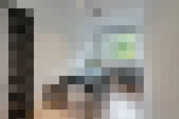 Voorsteven 81 Amsterdam thumbnail 16