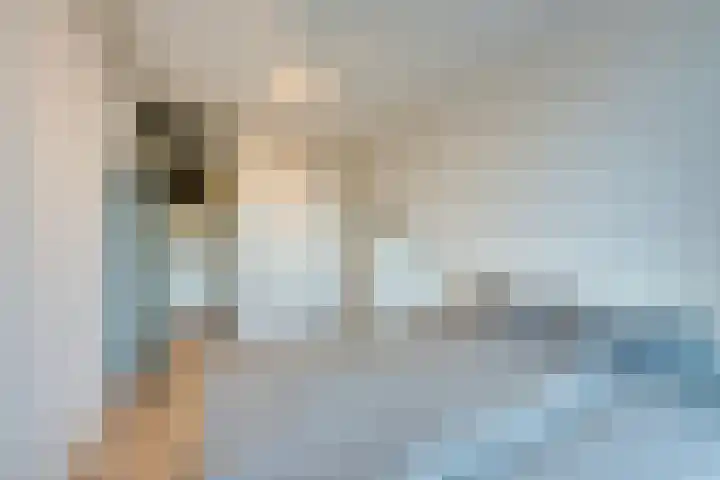Voorsteven 81 Amsterdam thumbnail 26