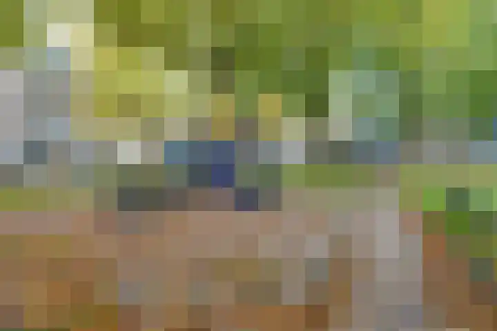 Voorsteven 81 Amsterdam thumbnail 34