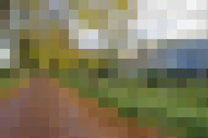 Voorsteven 81 Amsterdam thumbnail 35