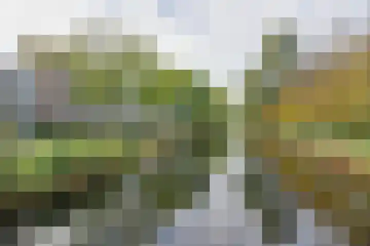 Voorsteven 81 Amsterdam thumbnail 37