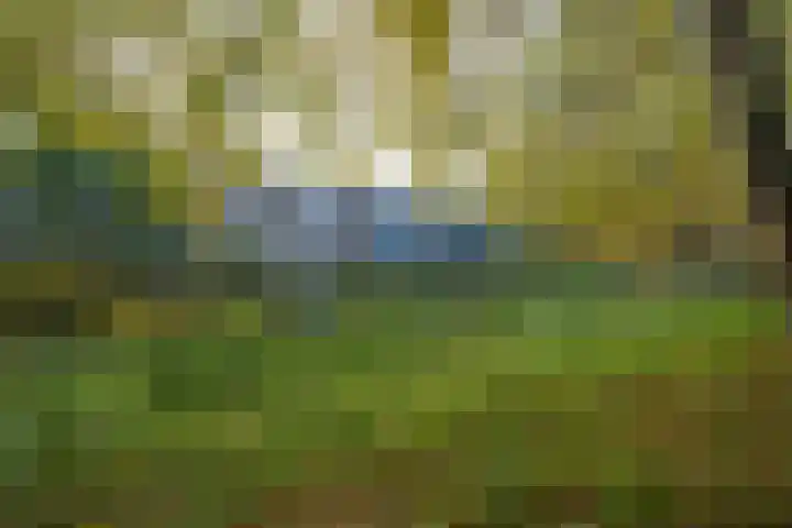 Voorsteven 81 Amsterdam thumbnail 38