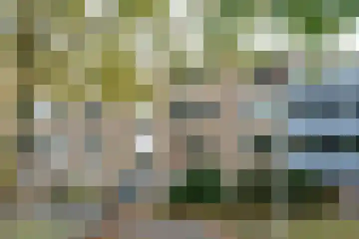 Voorsteven 81 Amsterdam thumbnail 39
